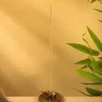 Подставка под благовония "Слоник на тарелке" латунь 7 см