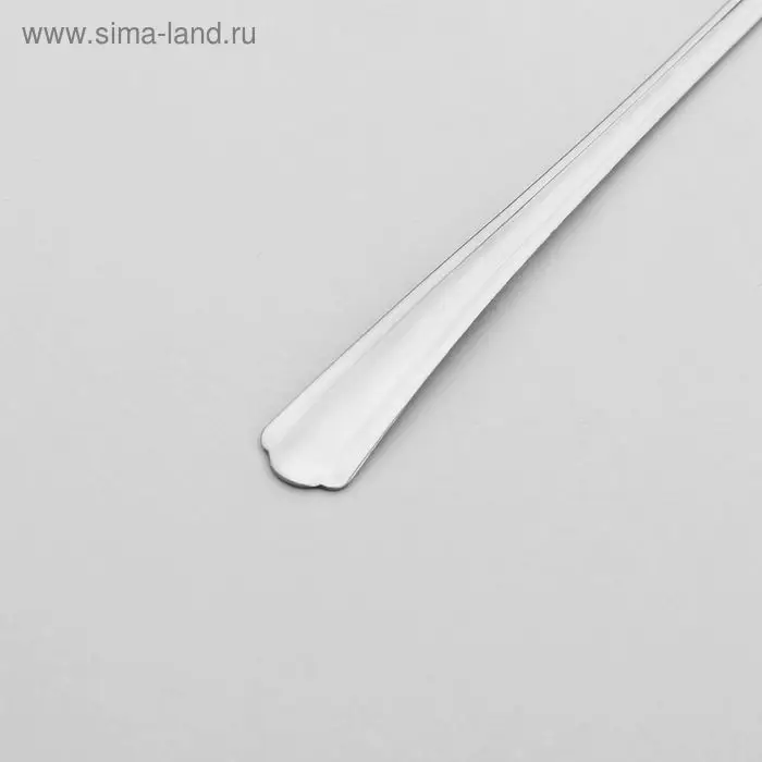 Ложка для специй из нержавеющей стали &laquo;Новинка&raquo;, длина 12,5 см, толщина 1,2 мм, упрощённой обработки, цвет серебряный