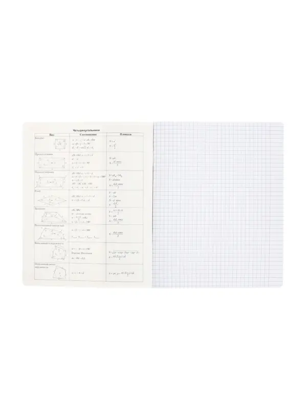 Тетрадь 48 листов в клетку &laquo;Буквица&raquo; ГЕОМЕТРИЯ, обложка мелованный картон, матовая ламинация, тиснение фольгой, с интерактивным справочником...