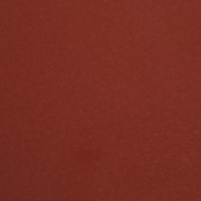 Круг абразивный шлифовальный под "липучку" ТУНДРА, 150 мм, Р1500, 5 шт.