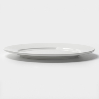 Тарелка с бортом d=24 см