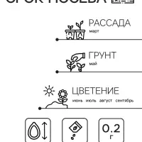 Семена  цветов Флокс "Звездный дождь", смесь окрасок, О, 0,2 г