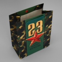 Пакет подарочный ламинированный вертикальный, упаковка, &laquo;С 23 февраля&raquo;, MS 18 х 23 х 10 см