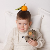 Мягкая игрушка "Капибара Барбара", 15 см 947