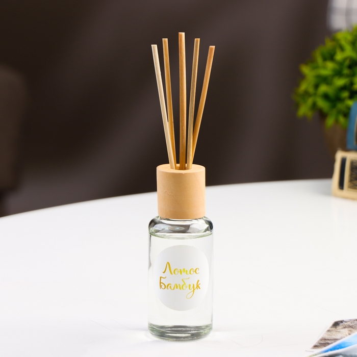 Диффузор ароматический "Модерн", 50 мл, лотос и бамбук, "Богатство Аромата"