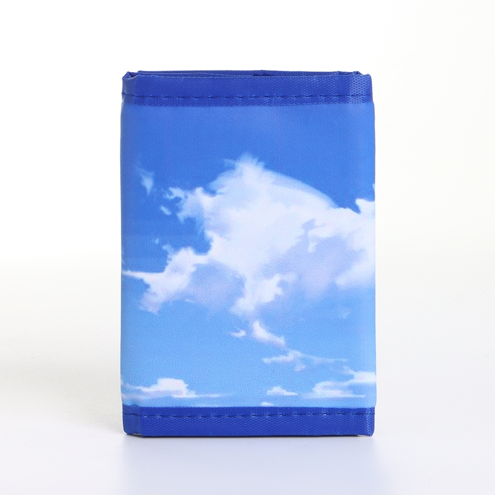 Кошелёк детский на липучке &laquo;Выбражулька&raquo;, цвет голубой