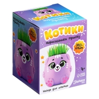 Набор для опытов &laquo;Котики. Выращиваем травку&raquo;, фиолетовый горшочек