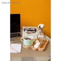 Декор сухоцвет &laquo;Хлопок&raquo;, h=8 см, d=5 см