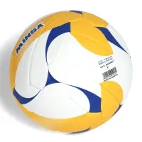 Мяч волейбольный Minsa VB500 DMS, р. 5 (18 панелей, машинная сшивка)