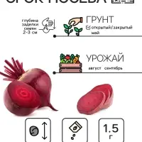 Семена Свекла столовая "Детройт", 1,5 г