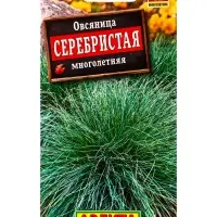 Семена цветов Овсяница Серебристая многолетняя Мн, Ц/П,5 шт.