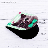 Закладки магнитные для книг, 6 шт &laquo;Котики&raquo;