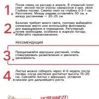 Семена Базилик "Зеленый ароматный", 0,1 г