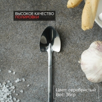 Ложка десертная из нержавеющей стали Magistro &laquo;Лопата&raquo;, длина 15,5 см, форма овальная, цвет серебряный