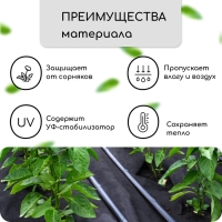 Материал мульчирующий, с перфорацией, 10 &times; 0,8 м, плотность 80 г/м&sup2;, спанбонд с УФ-стабилизатором, чёрный, Greengo, Эконом 30%