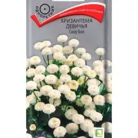 Семена цветов Хризантема девичья Сноу бол, 0,05гр