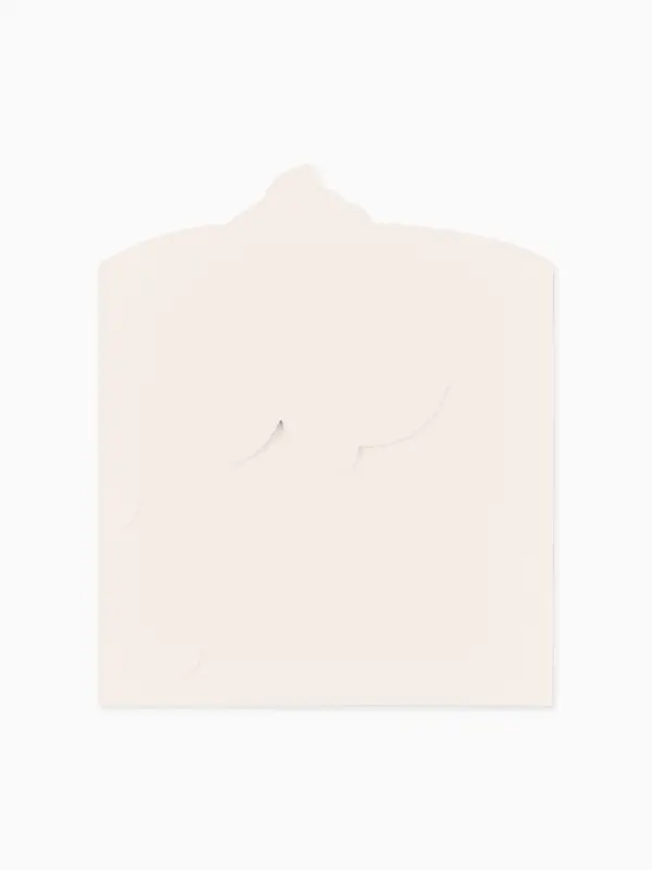 Конверт для денег формовой &laquo;Уточка&raquo;, 17.5 &times; 8 см