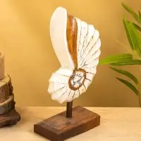 Набор сувенирный "Раковины" дерево (h - 35.30 и 25 см), цв. бежевый