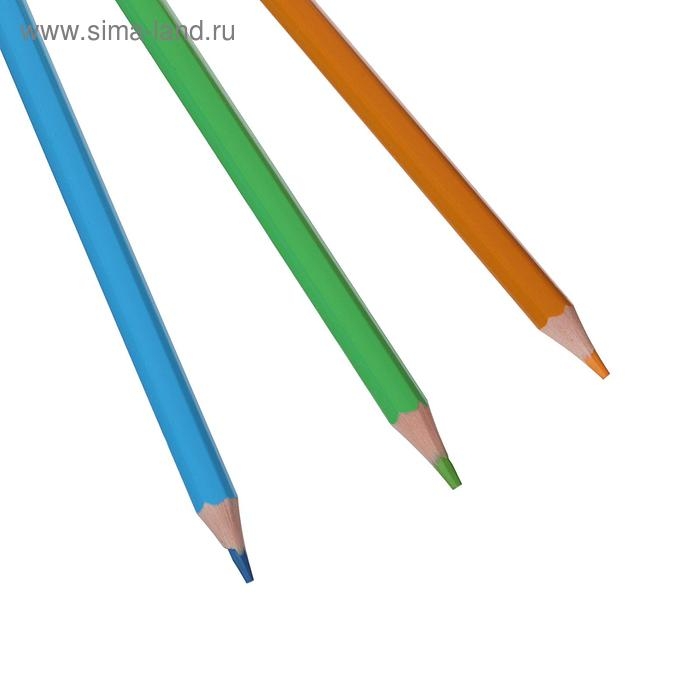 Цветные карандаши 24 цвета ZOO, пластиковые, шестигранные