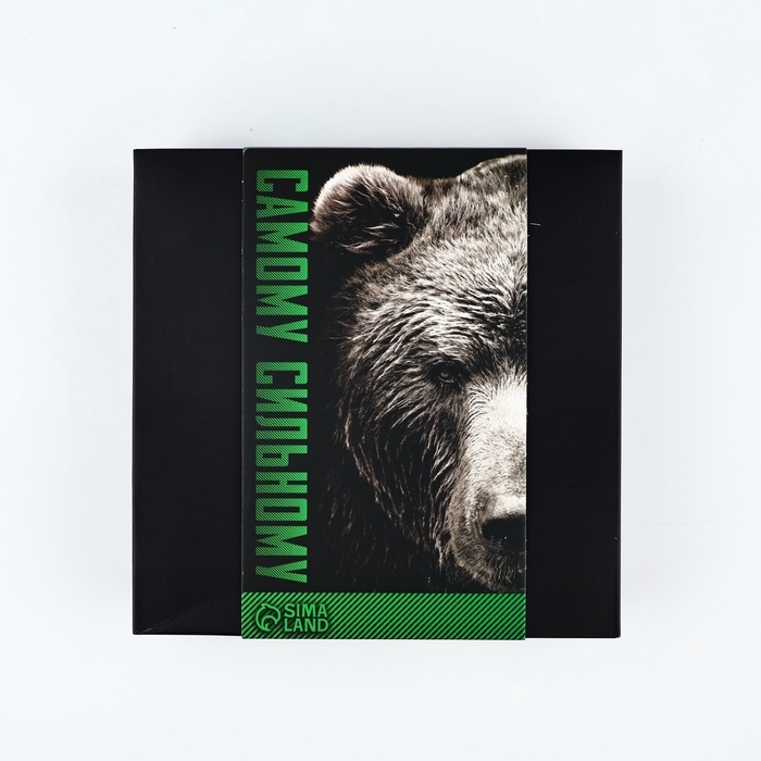 Подарочный набор MODE FORREST &laquo;Медведь&raquo;: фляжка 240 мл, стопки 30 мл х 2 шт, воронка