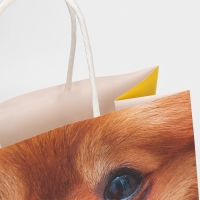 Пакет подарочный, упаковка, &laquo;Подарочек&raquo;, 22 х 22 х 11 см