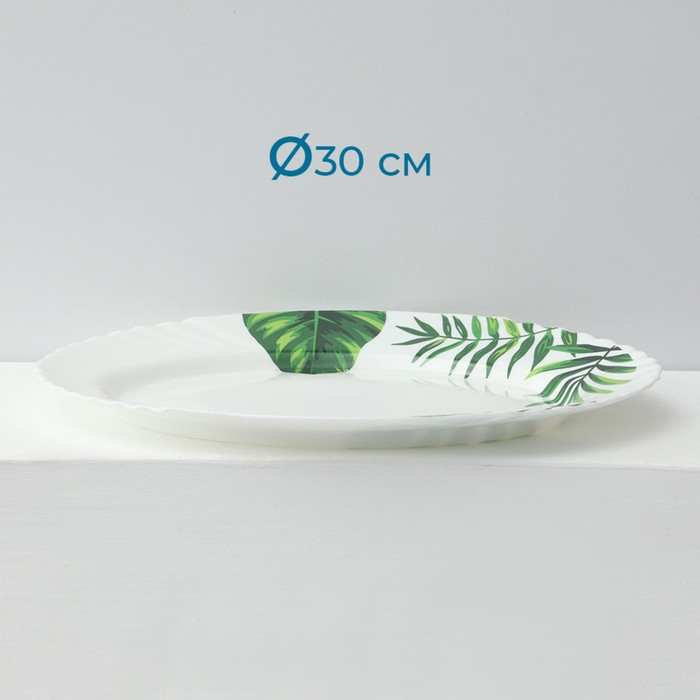 Сервиз столовый &laquo;Лист папоротника&raquo;, 37 предметов, стеклокерамика