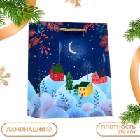Новый год. Пакет подарочный "Зимняя ночь", 18 х 22,3 х 10 см.