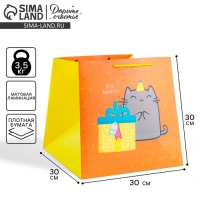 Пакет подарочный квадратный, упаковка, &laquo;Котик и тортик&raquo;, 30 х 30 х 30 см