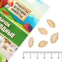 Семена Кабачок "Белоплодные", 1 г