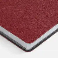 Ежедневник Petrus, недатированный, красный