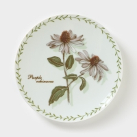 Тарелка фарфоровая &laquo;Ботаника&raquo;, d=20 см