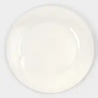 Набор тарелок 4 шт 25х25х2см с утолщенным краем "White Label" 1277452