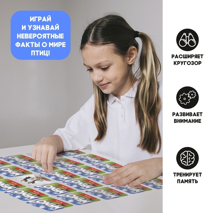 Мемо &laquo;Мир птиц&raquo;