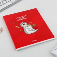 Тетрадь в клетку, 48 листов А5 на скрепке МИКС &laquo;1 сентября: Котики&raquo;, обложка мелованный картон 230 гр внутренний блок №1, белизна 96%