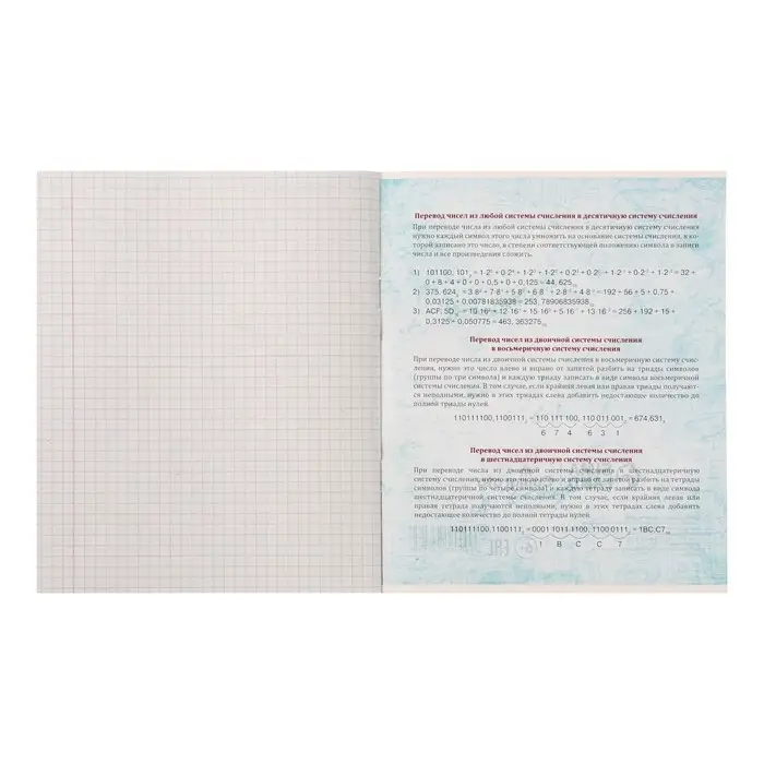 Тетрадь предметная 36 листов в клетку Calligrata &laquo;Животные мемы. Информатика&raquo;, обложка мелованная бумага, серые листы