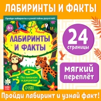 Книга &laquo;Лабиринты и факты. По лианам в джунгли&raquo;, 24 стр.