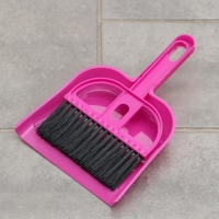 Щётка для пола с совком &laquo;Чистота&raquo;, 20&times;13 см, цвет МИКС