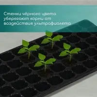 Кассета для рассады, 50 ячеек по 75 мл, пластик, чёрная, 56&times;29.5&times;4 см, Greengo
