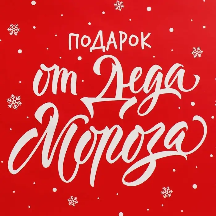 Набор новогодних пакетов &laquo;Новогодний подарок&raquo;