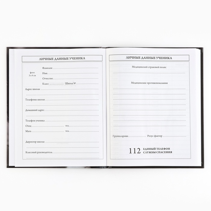 Дневник школьный 5-11 класс, в твердой обложке, 48 л. &laquo;Смирение&raquo;