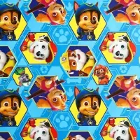 Бумага упаковочная, 70 х 100 см &laquo;Гонщик и Маршал&raquo;, Щенячий патруль