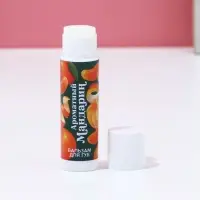 Бальзам для губ ЧИСТОЕ СЧАСТЬЕ в коробке, 10 г, аромат мандарина, Новый Год