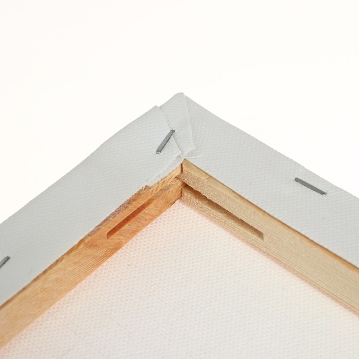 Холст на подрамнике, хлопок 100%, 1,6 х 60 х 90 см, акриловый грунт, мелкозернистый, 280 г/м&sup2;