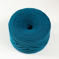 Трикотажная пряжа, ширина 7-9 мм, 100м/295 гр&plusmn;10% (25 - мурена)