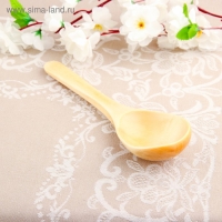 Ложка салатная, покрытая лаком, 6&times;21 см