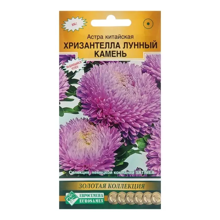 Семена цветов Астра китайская &laquo;Хризантелла Лунный Камень&raquo;, однолетник,5 шт.
