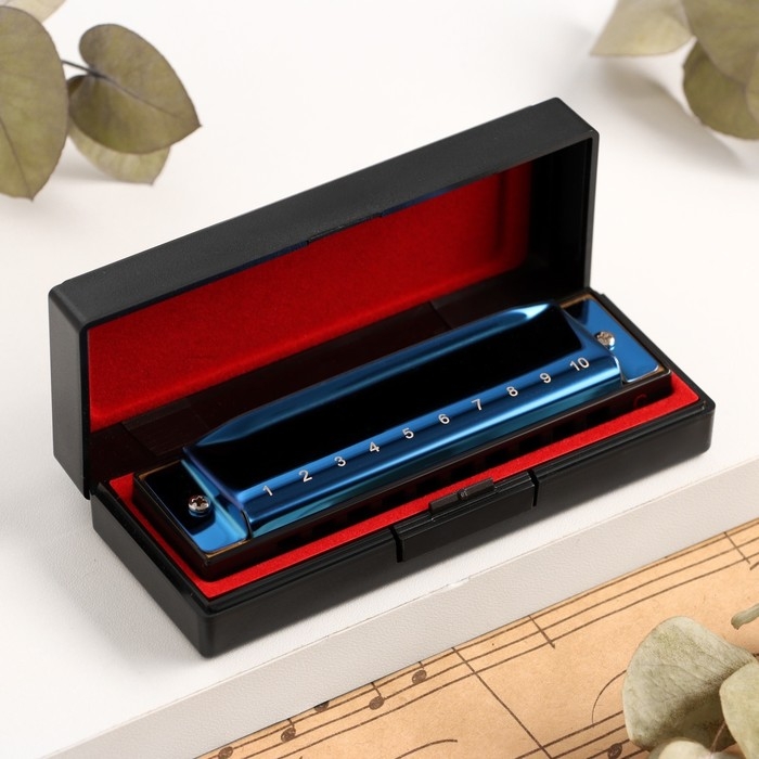 Губная гармошка Music Life T003 C диатоническая, 10 отверстий, с футляром, синяя