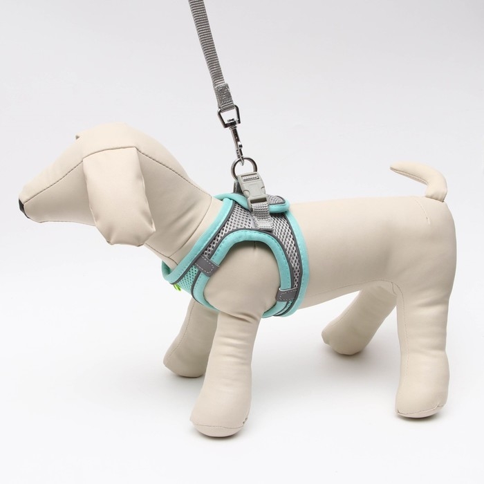 Комплект с мягкой шлейкой, быстросъемный, S, поводок 150 х 1,5 см, ОШ 33-36 см, ОГ 35-40 см, бирюз