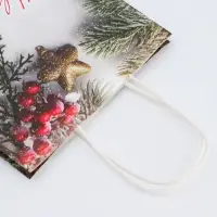 Пакет бумажный подарочный новогодний крафт "Новогоднее украшение" 18 х 8 х 25 см.