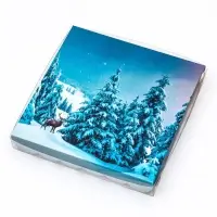 Коробка для печенья, &laquo;Зимний лес&raquo;, 18&times;18&times;3 см, Новый год